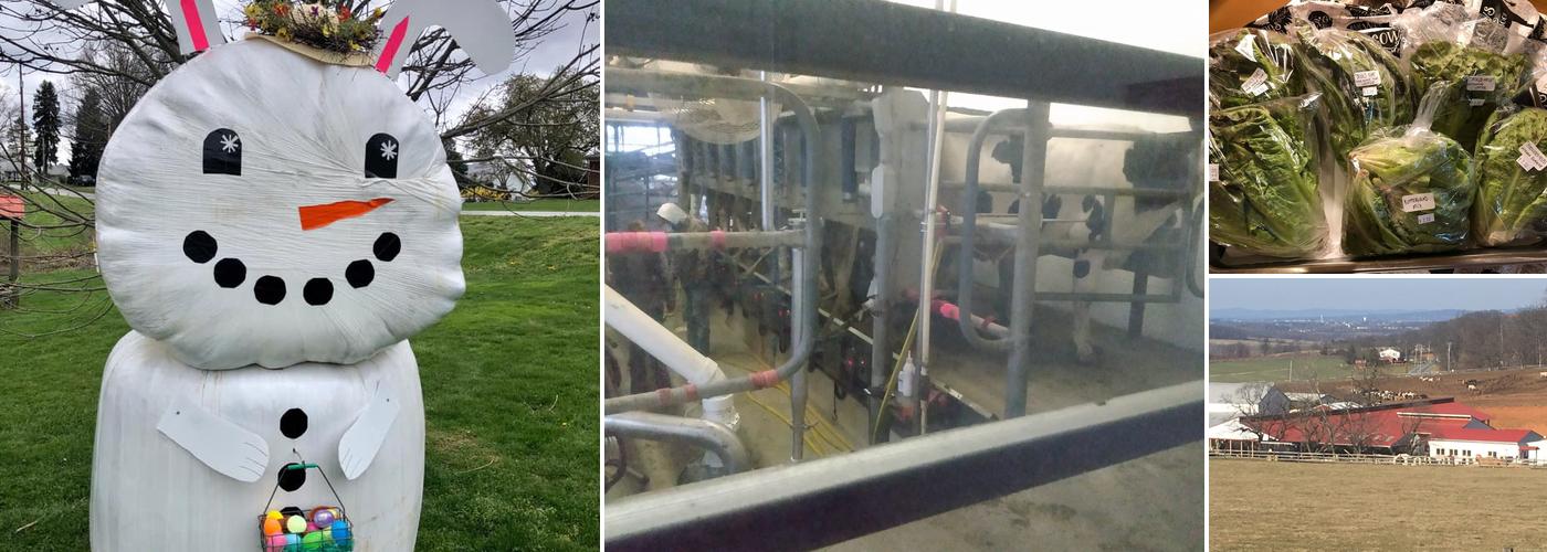 Perrydell Farm and Dairy