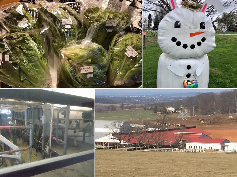 Perrydell Farm and Dairy 90 Indian Rock Dam Rd, York