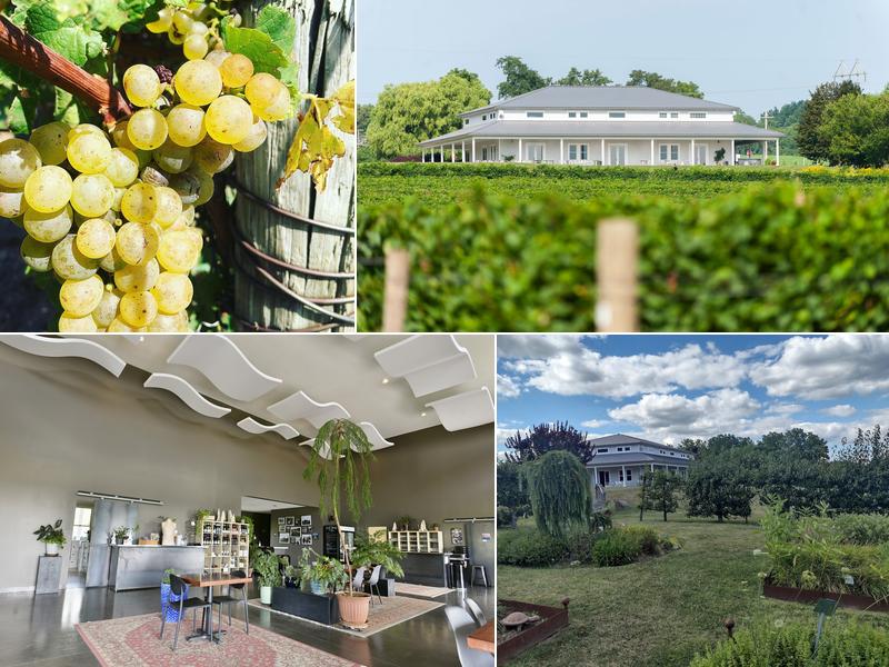 Anthony Road Wine Company