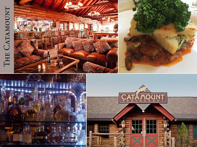 The Catamount 5368 NY-28, Mt Tremper