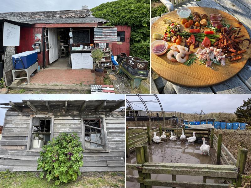 Multi Aquaculture Systems 429 Cranberry Hole Rd, Amagansett