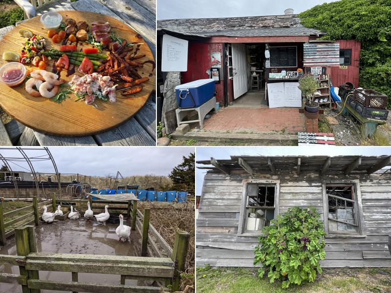 Multi Aquaculture Systems