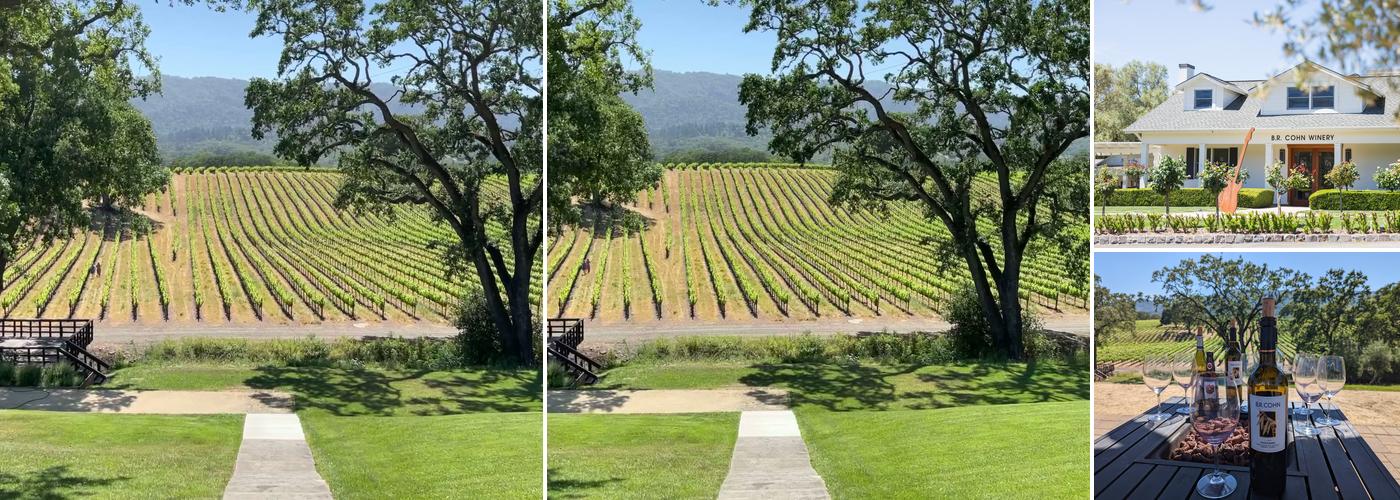 B.R. Cohn Winery and Olive Oil Company