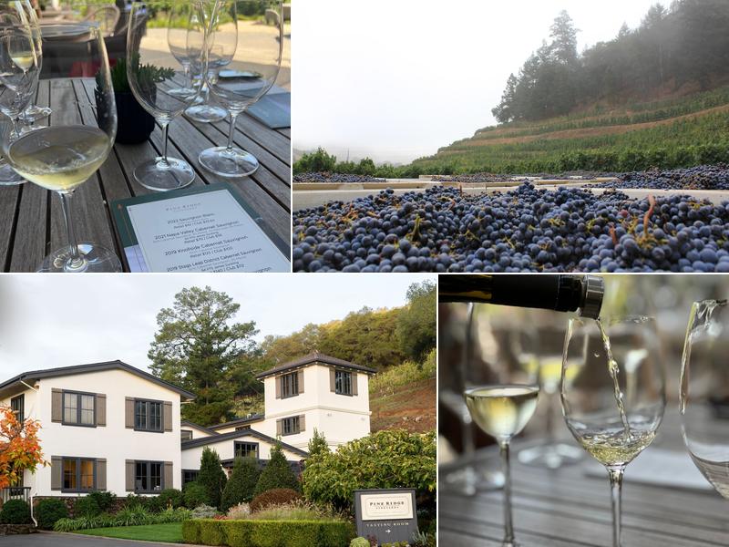 Pine Ridge Vineyards