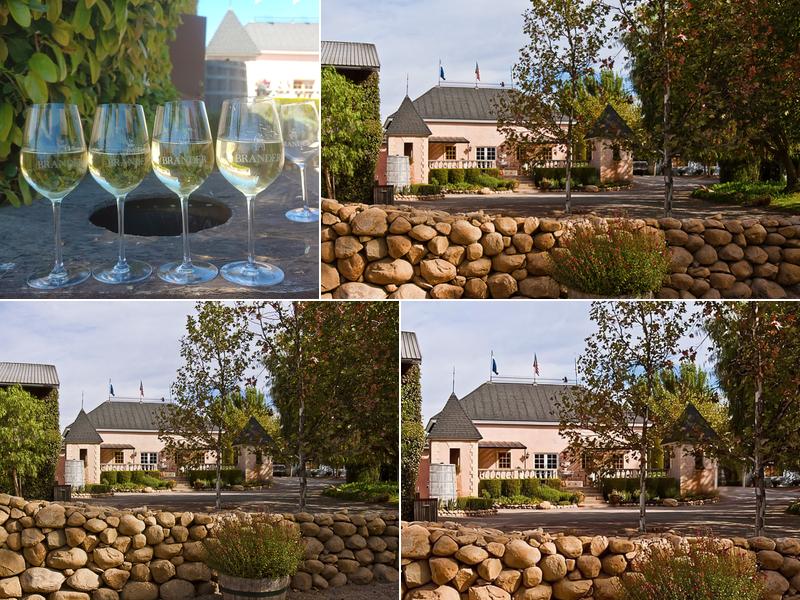 The Brander Vineyard