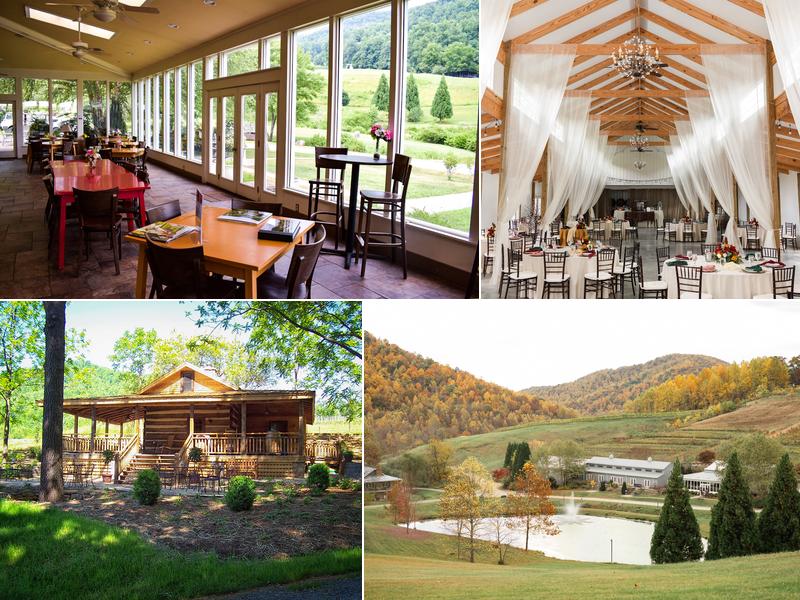 Mountain & Vine Vineyards and Winery (Formerly Delfosse)