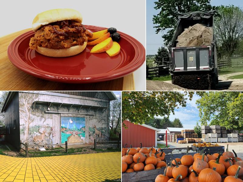 Curtis Orchard & Pumpkin Patch