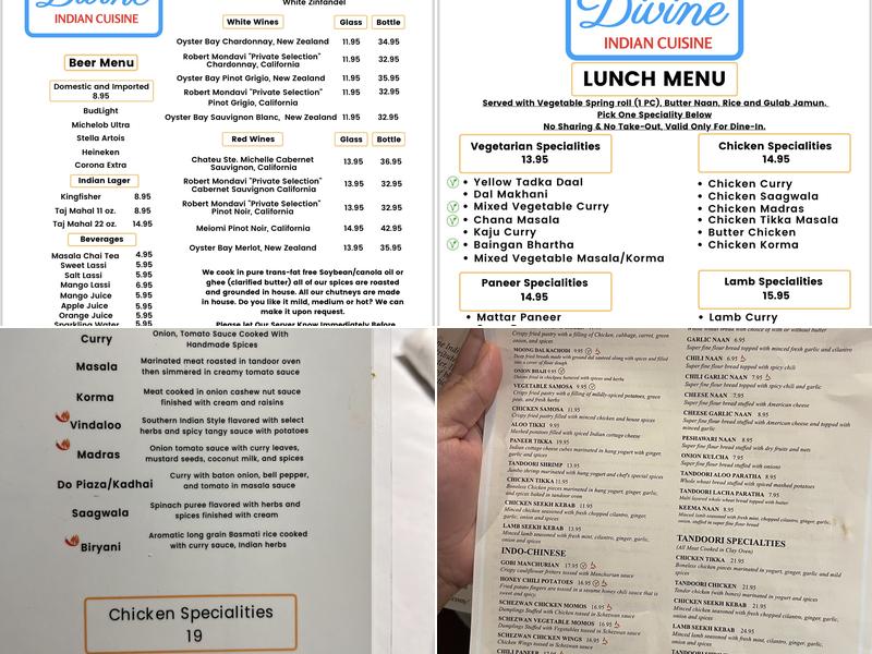Divine Indian Cuisine Menu