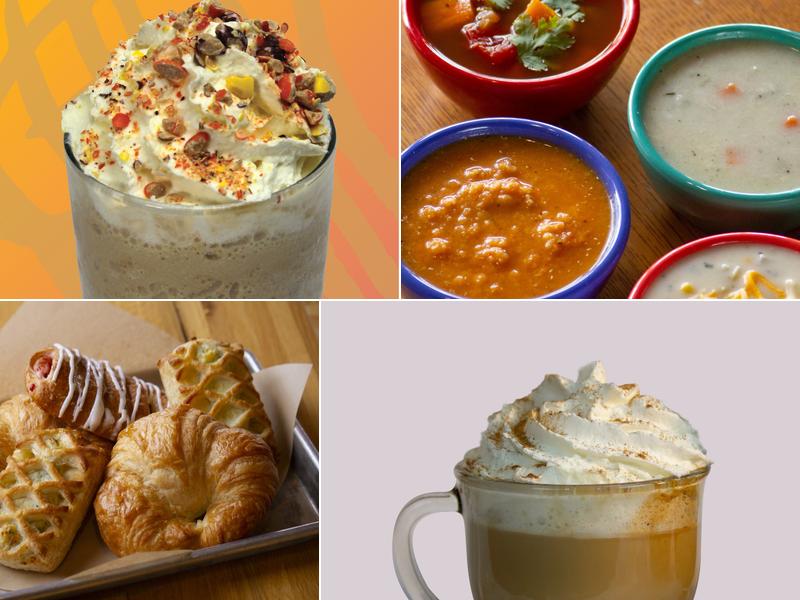 The JAVA HOUSE | Heirloom Salad Company