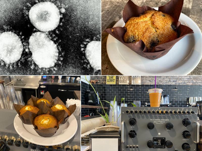 Workhorse Coffee Bar