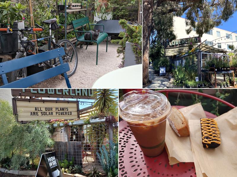 Highwire Coffee Roasters at Flowerland, 1330 Solano Ave, Albany