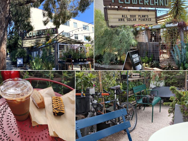 Highwire Coffee Roasters