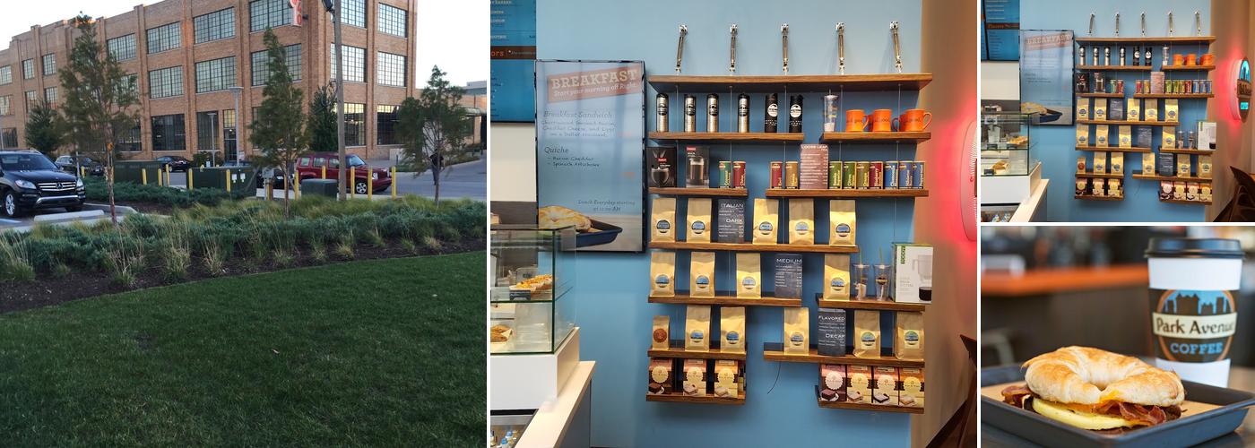 Park Avenue Coffee - Cortex