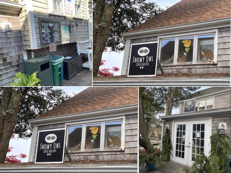 Snowy Owl Coffee Espresso Bar