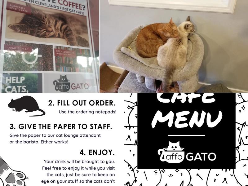 affoGATO Cat Cafe Menu