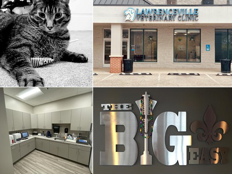 The Big Easy Animal Hospital
