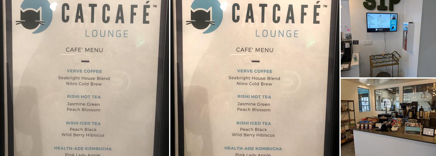 CatCafe Lounge | Cats + Kittens + Catio Menu