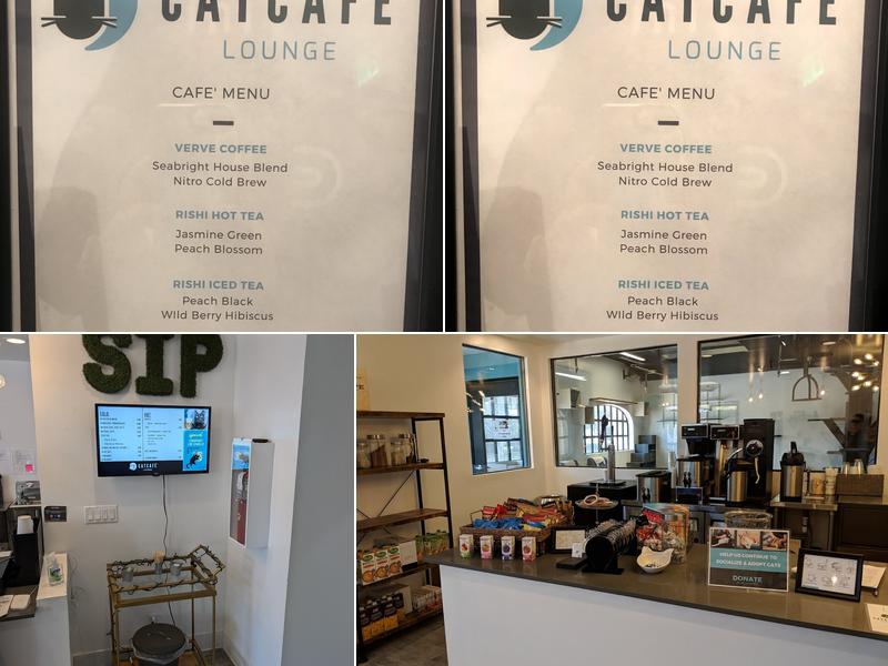 CatCafe Lounge | Cats + Kittens + Catio Menu