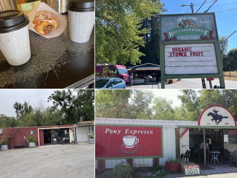 Bill’s Brew 10315 Bodega Hwy, Sebastopol