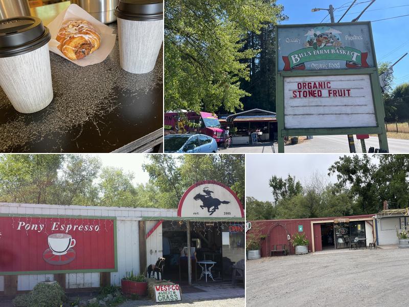 Bill’s Brew 10315 Bodega Hwy, Sebastopol