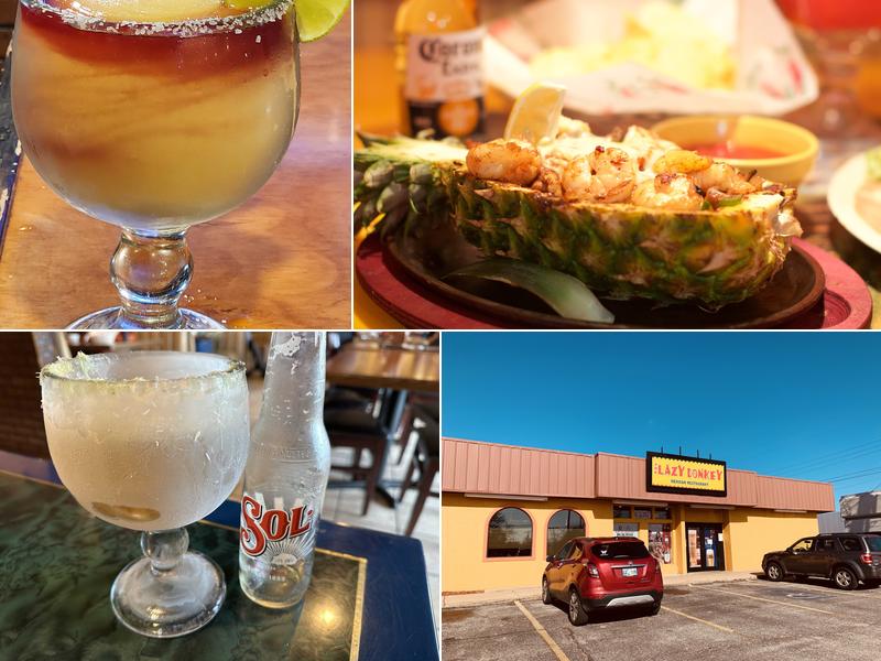 THE LAZY DONKEY MEXICAN RESTAURANT #2