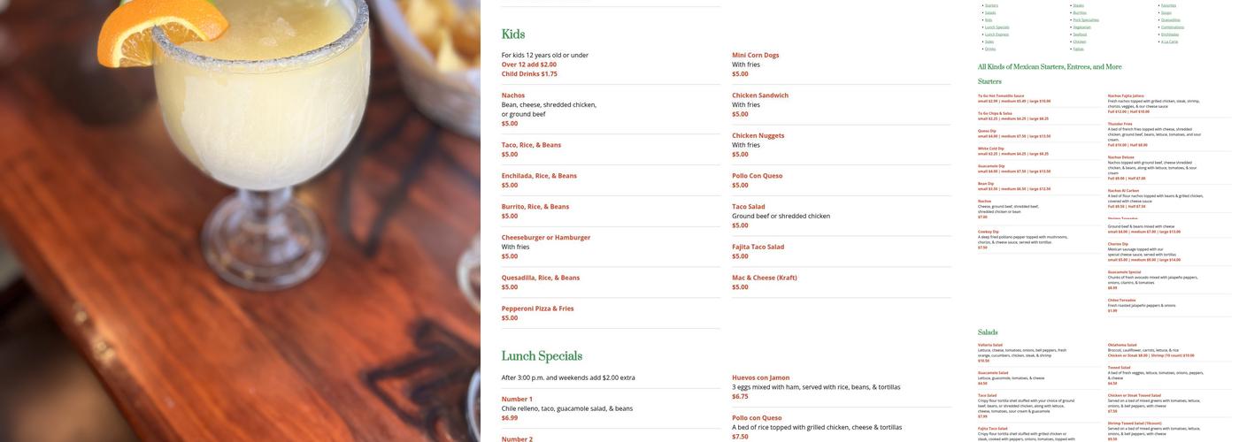 Señor Lopez Mexican Grill Menu