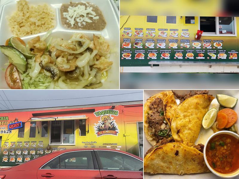 Taqueria El Burrito #4