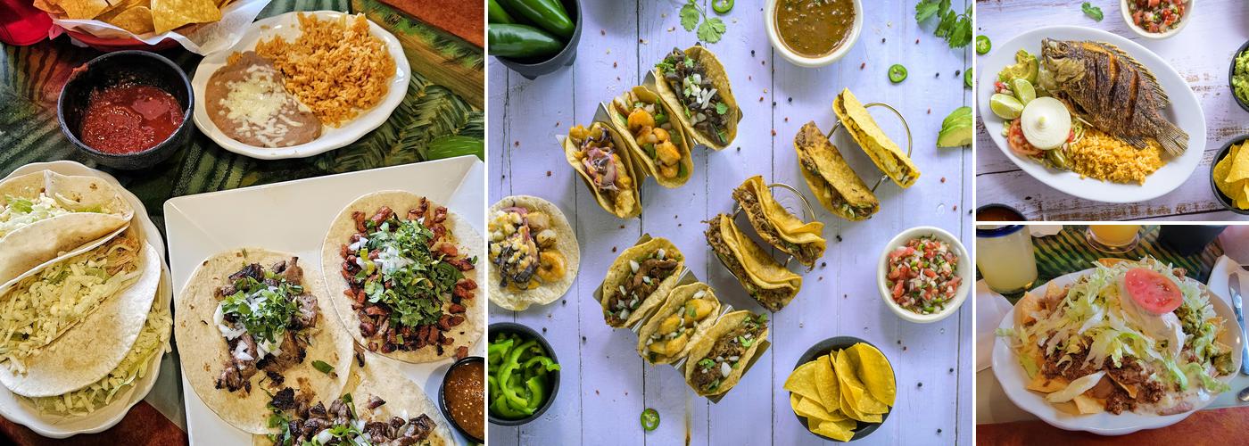 La Nopalera Julington Creek