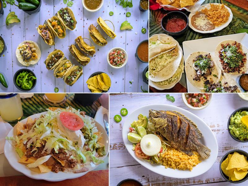 La Nopalera Julington Creek