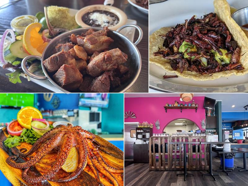 Centro Botanero 8259 Sunland Blvd, Sun Valley