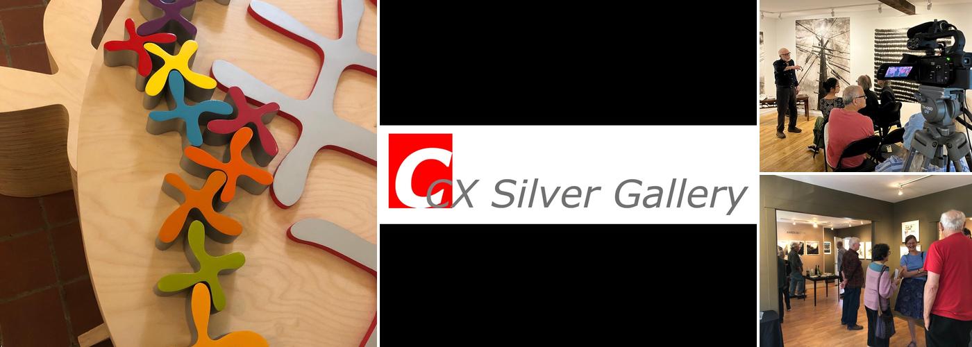 C X Silver Gallery LLC