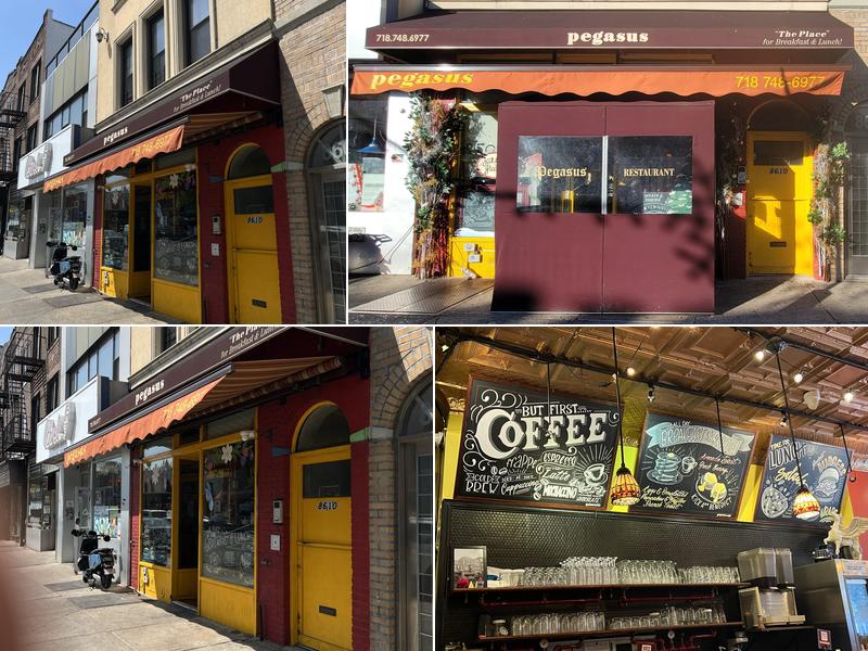 Pegasus Brooklyn