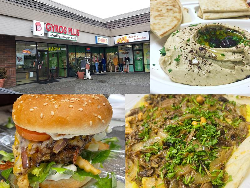 Gyros Plus