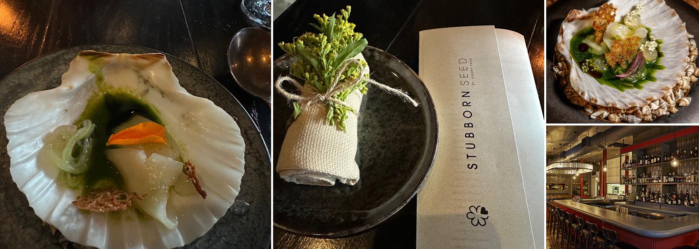 Stubborn Seed - Miami Beach