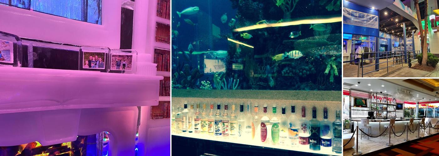 Ice Bar