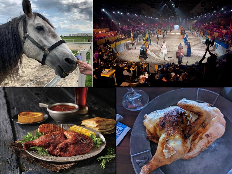 Medieval Times Dinner & Tournament 2001 N Roselle Rd, Schaumburg