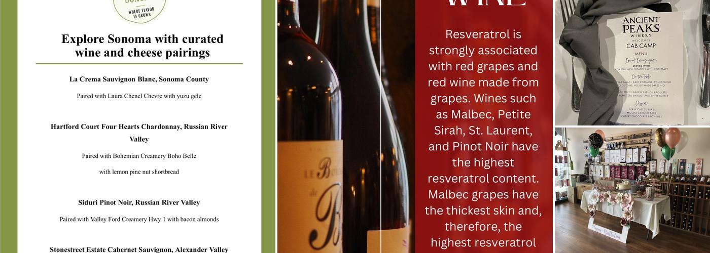 Azo Vino Wine Bar Menu