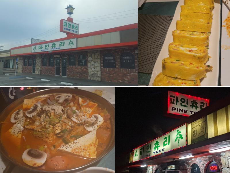 Pine Tree 12228 Centralia St, Lakewood