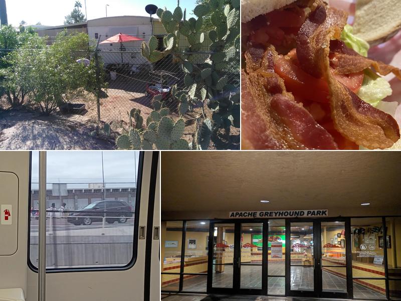 Apache Greyhound Park 220 S Delaware Dr, Apache Junction