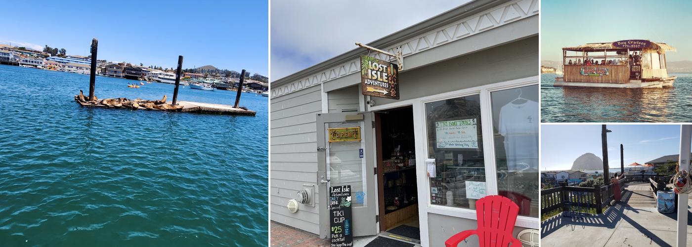 Lost Isle Adventures Harbor Tours & Whale Watching