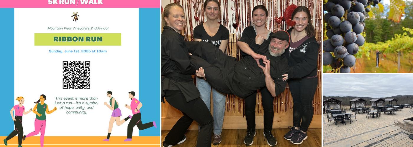 Mountain View Vineyard, Winery, Brewery & Distillery