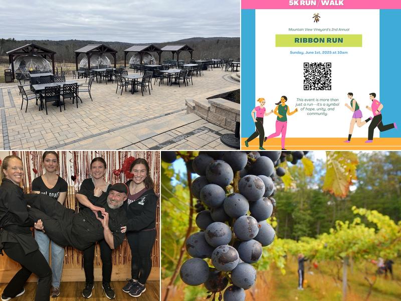 Mountain View Vineyard, Winery, Brewery & Distillery