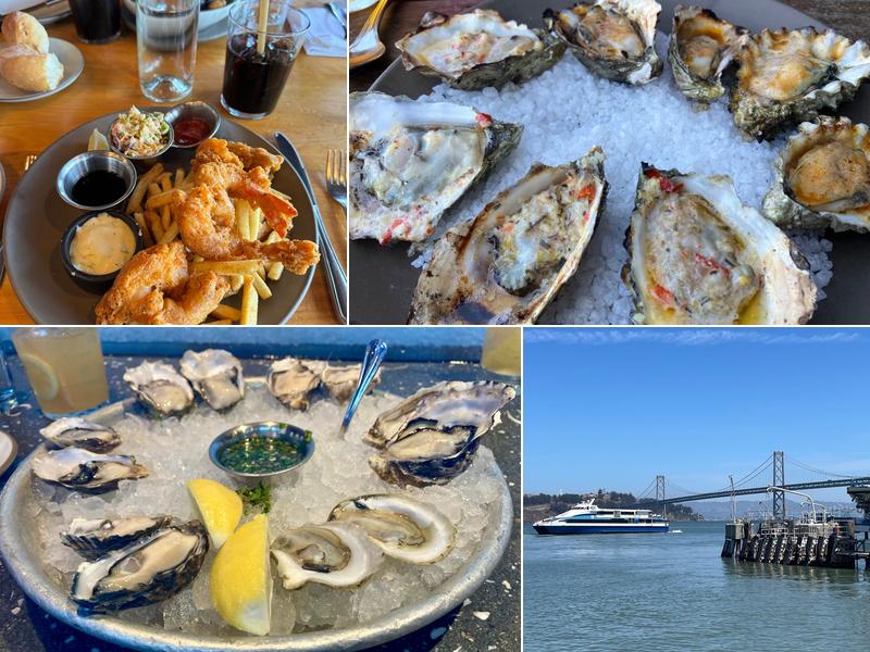 Hog Island Oyster Co.