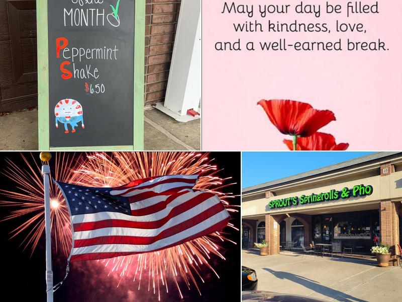 Sprout's Springroll & Pho