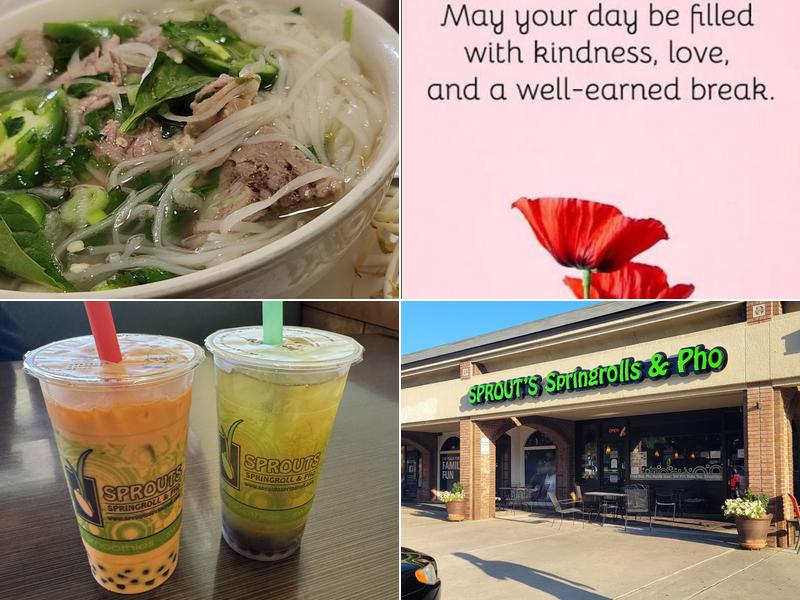 Sprout's Springroll & Pho