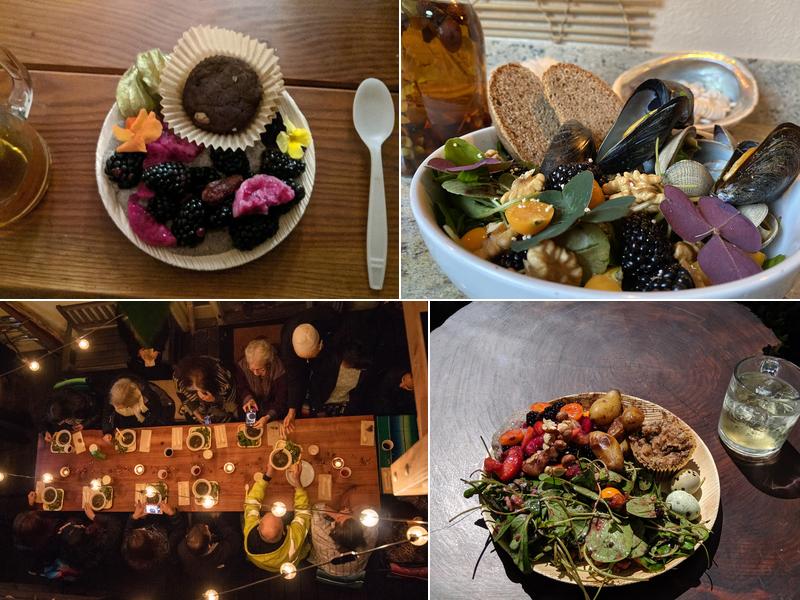 Cafe Ohlone Bancroft Way at, College Ave, Berkeley