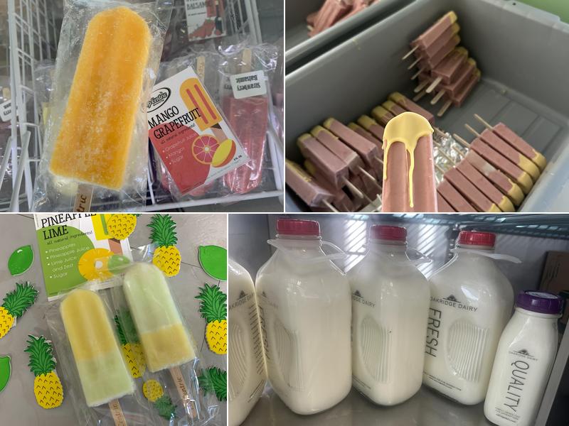 PopCentric Gourmet Ice Pops