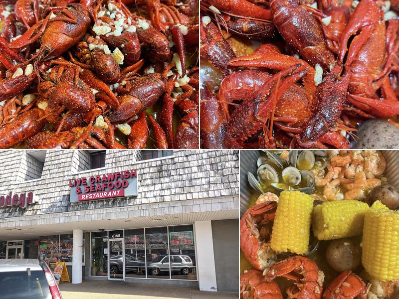 Live Crawfish & Seafood 6168 Arlington Blvd, Falls Church