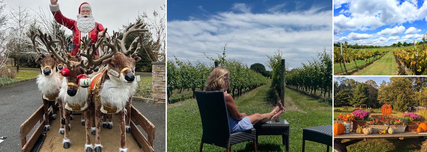 4JG Orchards & Vineyards