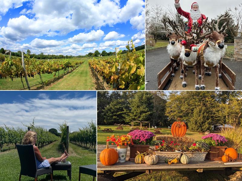 4JG Orchards & Vineyards
